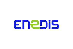 image logo client Enedis